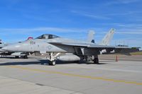 165660 @ KBOI - VX-31 (Air Test & Evaluation) Dust Devils, NAS China Lake, CA. - by Gerald Howard