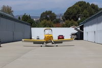 N406L photo, click to enlarge