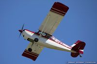N291AC @ KOSH - American Champion 7GCBC Citabria  C/N 1285-99, N291AC - by Dariusz Jezewski www.FotoDj.com