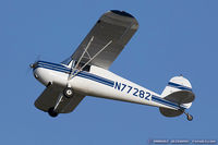 N77282 @ KOSH - Cessna 120  C/N 11724, N77282 - by Dariusz Jezewski www.FotoDj.com