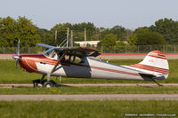 N8304A @ KOSH - Cessna 170B  C/N 25156, N8304A