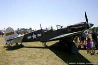 N49FG - Curtiss P-40N-5 Warhawk Suzy  C/N 42-105861, NL49FG - by Dariusz Jezewski www.FotoDj.com