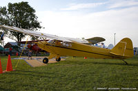 N5533H @ KOSH - Piper PA-11 Cub Special  C/N 11-1036 , N5533H
