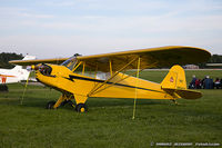 N98406 @ KOSH - Piper J3C-65 Cub  C/N 18593, NC98406