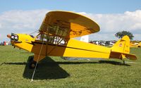 N42433 @ KOSH - Piper J3F-65 - by Mark Pasqualino