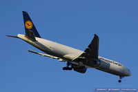 D-ALFE @ KJFK - Boeing 777-FBT  - Lufthansa Cargo  C/N 41678 , D-ALFE