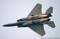 84-0008 - F-15C Eagle 84-0008 FF from 94th FS Spads 1st FW Langley AFB, VA - by Dariusz Jezewski www.FotoDj.com