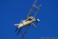 N8096L @ NY94 - SPAD VII replica C/N 1999, N8096L - by Dariusz Jezewski  FotoDJ.com