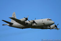 156518 @ KNTU - P-3C Orion 156518 LL-509 from VP-30 Pro's Nest NAS Jacksonville, FL - by Dariusz Jezewski www.FotoDj.com