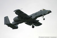 81-0964 @ KMIV - A-10A Thunderbolt II 81-0964 from FT 74th FS 'Flying Tigers' FS 23rd FG, Pope AFB
