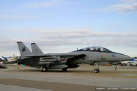 164341 @ KNTU - F-14D Tomcat 164341 AJ-101 from VF-213 'Black Lions' NAS Oceana, VA