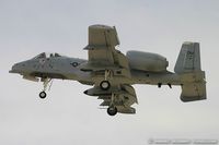 80-0151 @ KLSV - A-10A Thunderbolt II 80-0151 DM from 358th FS Lobos 355th Wing Davis-Monthan AFB, AZ - by Dariusz Jezewski www.FotoDj.com