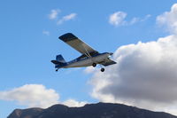 N117CP photo, click to enlarge