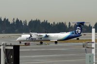 N447QX @ SEA - new livery - by Manuel Vieira Ribeiro