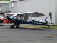 ZK-BKW @ NZAR - ressy cub out for inspection - by magnaman