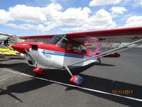 ZK-REF @ NZAR - nice scheme - by magnaman
