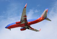 N404WN @ TPA - Southwest - by Florida Metal