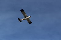 N519AC photo, click to enlarge
