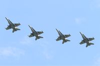 J-5011 @ LFRJ - McDonnell Douglas FA-18C Hornet, Flight over Landivisiau Naval Air Base (LFRJ) Tiger Meet 2017 - by Yves-Q
