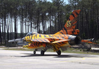 FA-77 @ LPMR - Tiger schemme. - by Nuno Filipe Lé Freitas