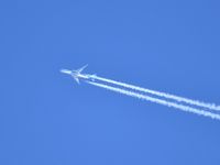 VN-A895 photo, click to enlarge