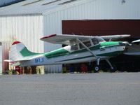 ZK-BLT @ NZAR - at last with some paint on it!! - by magnaman