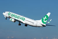 PH-HXE @ EHAM - TRANSAVIA