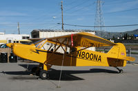 N800NA @ KRHV - Amelia Reid Aviation 2004 Zlin Savage Classic @ Reid-Hillview Airport (San Jose), CA home base - by Steve Nation