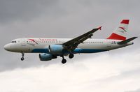 OE-LBO photo, click to enlarge