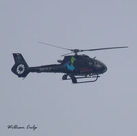 N811LV - Was seen flying over Peace Valley Park, New Britain Pa. - by William M. Culp