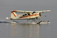 C-GFLT @ CAB4 - Arrival of Tofino Air DHC2. - by FerryPNL