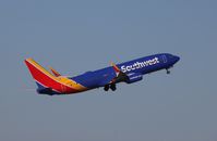 N8695D @ KTPA - Boeing 737-800 - by Mark Pasqualino
