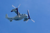 166722 - Osprey flying over Virginia Beach - 9/23/17 - by nvchad2