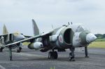 XV278 - Hawker Siddeley Harrier GR1 at the Luftwaffenmuseum, Berlin-Gatow