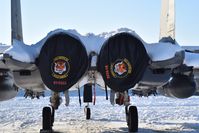 91-0333 @ KBOI - Parked on the south GA ramp.  391st Fighter Sq. Bold Tigers, 366th FW, Mountain Home AFB, Idaho. - by Gerald Howard