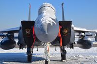 91-0333 @ KBOI - 391st Fighter Sq. Bold Tigers, 366th FW, Mountain Home AFB, Idaho. - by Gerald Howard