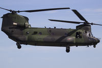 147304 photo, click to enlarge
