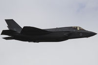 ZM137 photo, click to enlarge