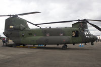 147304 photo, click to enlarge