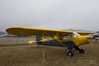 N4957H @ KPAE - Piper PA-11 during VAW - by Eric Olsen