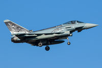 31 31 @ ETNN - 31+31 - Eurofighter Typhoon EF-2000 - German Air Force - by Michael Schlesinger