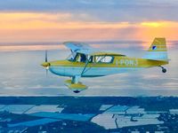 I-PONJ - Perfect yellow bird flew over Salerno - by Costantino