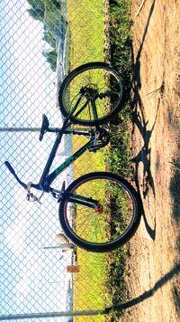 N707SC @ MDE - Una corta visita en bicicleta a las afueras del Aeropuerto internacional Jose Maria Cordova, me permitió encontrarme con este hermoso par de ejemplares. - by Sebastián García giraldo