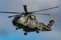 ZJ118 - taking park in mil ex - by Frazer1997