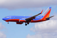 N298WN @ KPHX - No comment. - by Dave Turpie