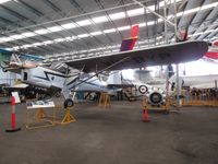 VH-BYP - bice example at Caloundra Museum - by magnaman