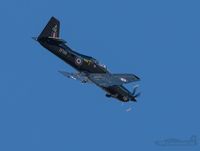 ZF139 @ EGXU - ZF139 HIGH OVER LINTON ON OUSE. DAN AT THE CONTROLS. - by Steve Raper