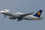 D-AIBG photo, click to enlarge