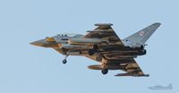 ZJ800 @ EGXU - Typhoon at Linton - by Steve Raper