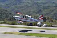 N1603G photo, click to enlarge